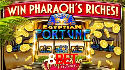 A Experiência Imersiva dos Cassinos Ao Vivo no 8bet